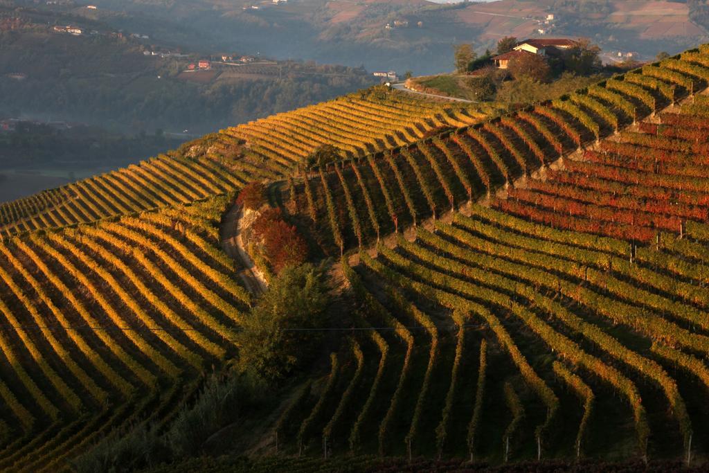 Albergo Castiglione Langhe Castiglione Tinella المظهر الخارجي الصورة
